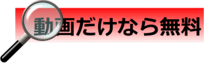 防犯・監視カメラ・ペットの監視にライブカメラ用サーバー:動画だけなら無料