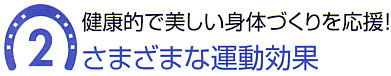 A健康的で美しい身体づくりを応援! さまざまな運動効果